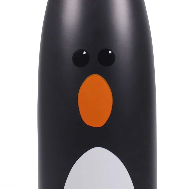 Feathers McGraw 3D Metal Water Bottle – 500ml | Wallace & Gromit